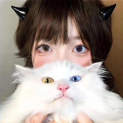 天线宝宝