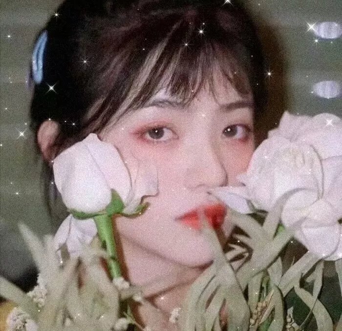 面包,巴士和第二次初恋